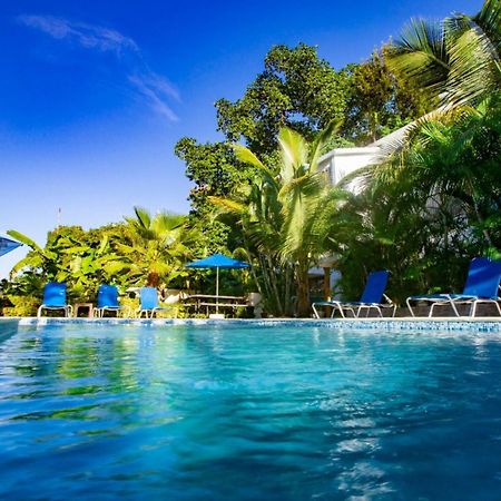 Cozy And Central Apartment 1Br-1Ba With Pool Sosua Exterior photo