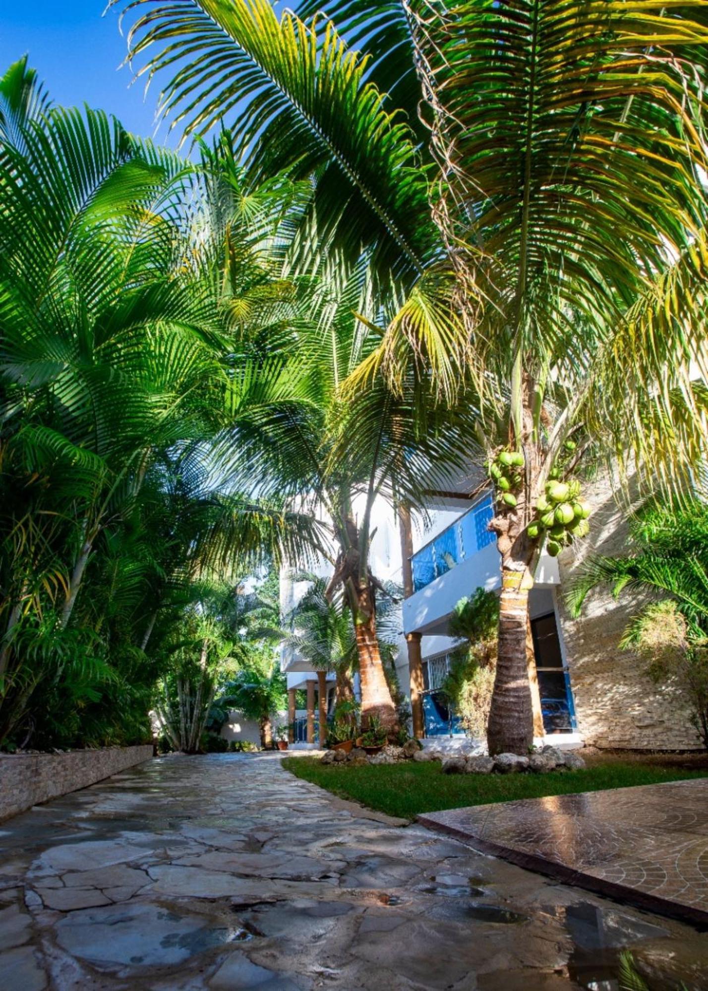 Cozy And Central Apartment 1Br-1Ba With Pool Sosua Exterior photo